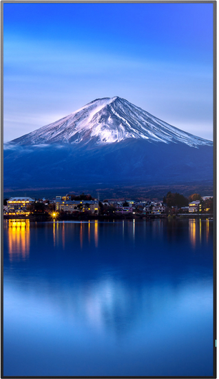 Digital Signage Display Sharp MultiSync P556