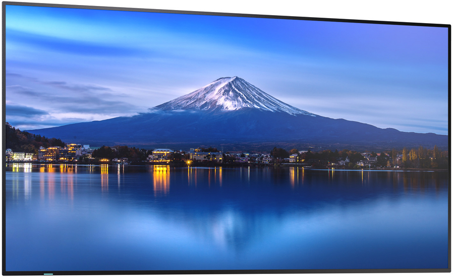 Digital Signage Display Sharp MultiSync P556