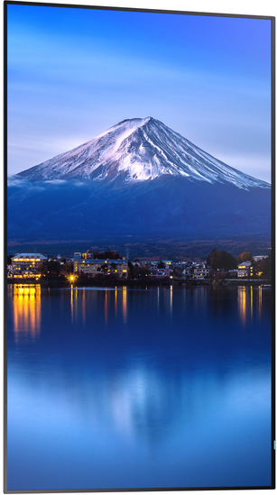 Digital Signage Display Sharp MultiSync P556