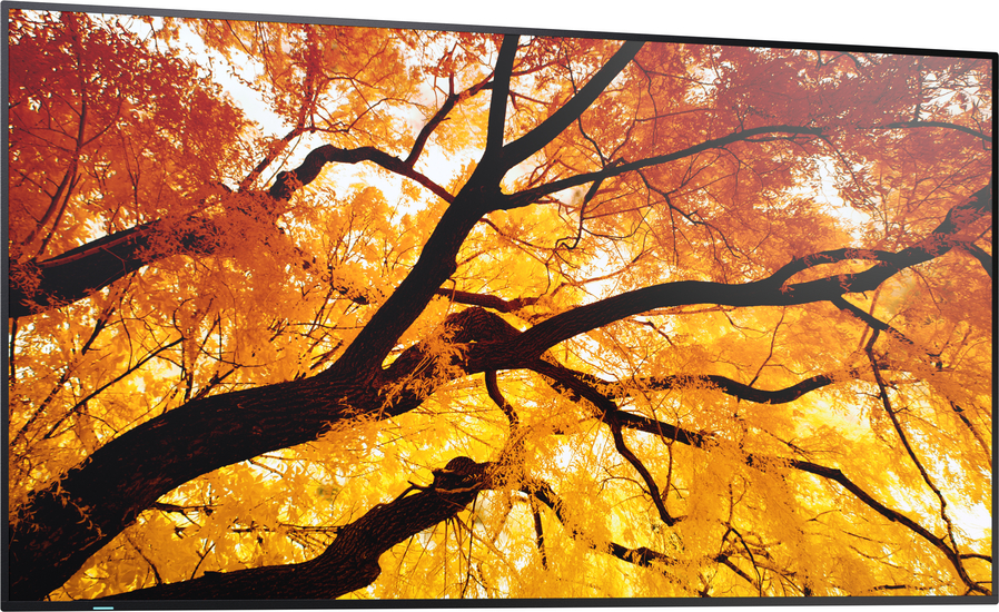 Digital Signage Display Sharp MultiSync M552