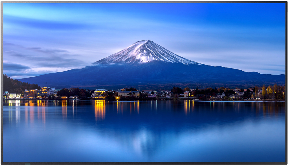 Digital Signage Display Sharp MultiSync P656
